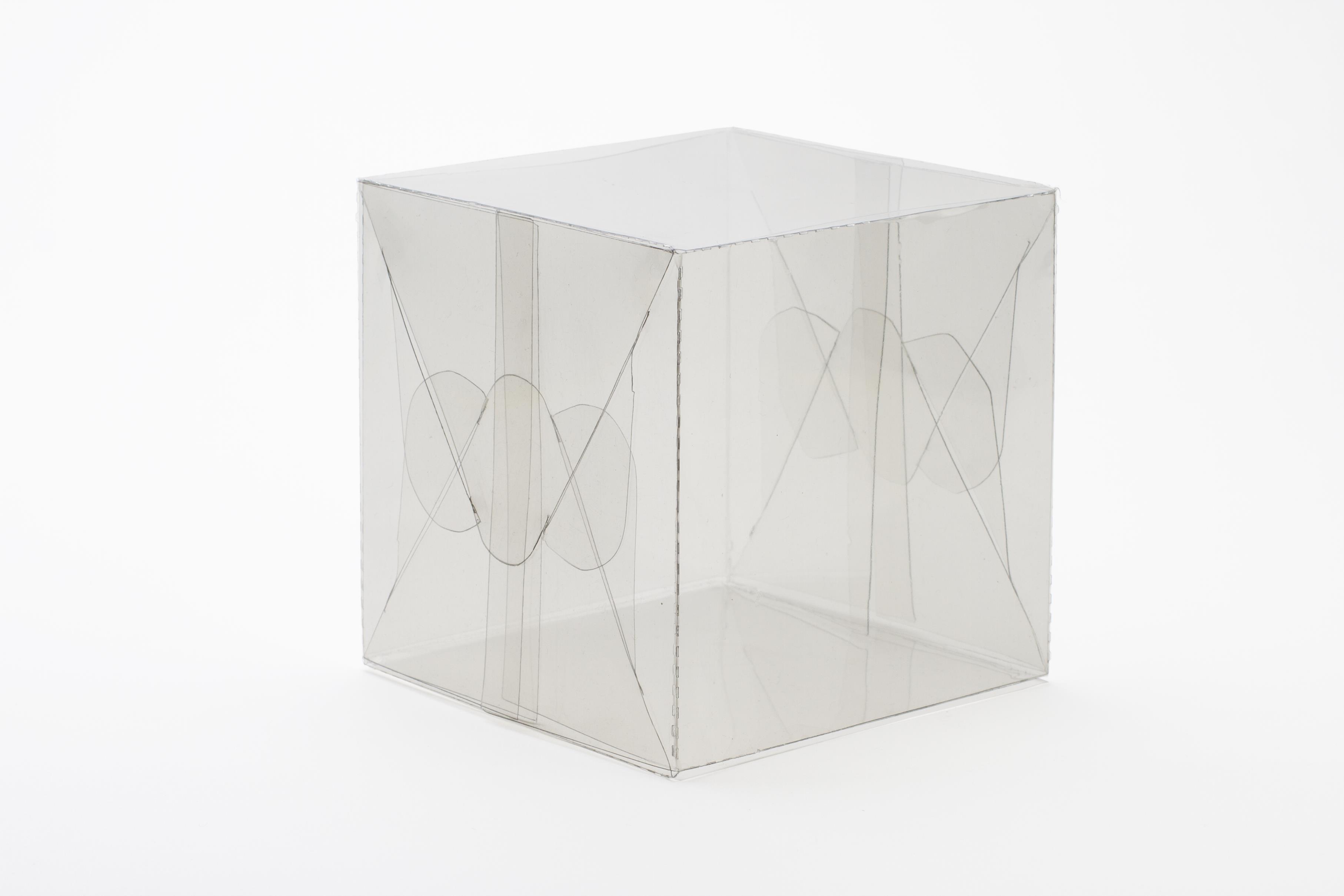 C15-T CX 8X8X8 FU PET C/ 10 UNID.